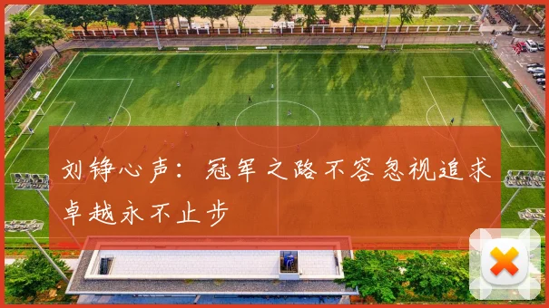 刘铮心声：冠军之路不容忽视追求卓越永不止步